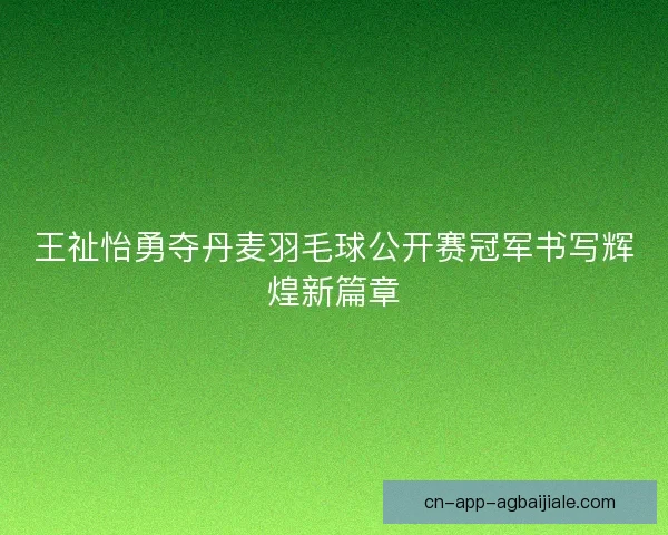 王祉怡勇夺丹麦羽毛球公开赛冠军书写辉煌新篇章 王祉怡勇夺丹麦羽毛球公开赛冠军书写辉煌新篇章